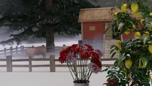 Atmospheric farm scene with fog